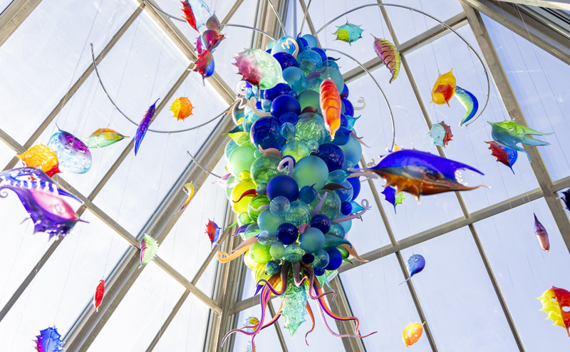 Glass sculpture hanging on the ceiling at Muttart