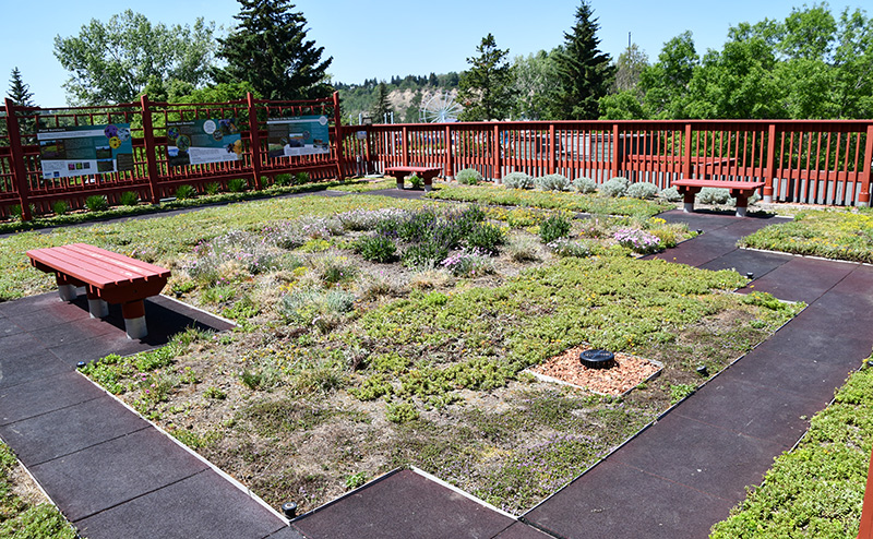 Green Roof