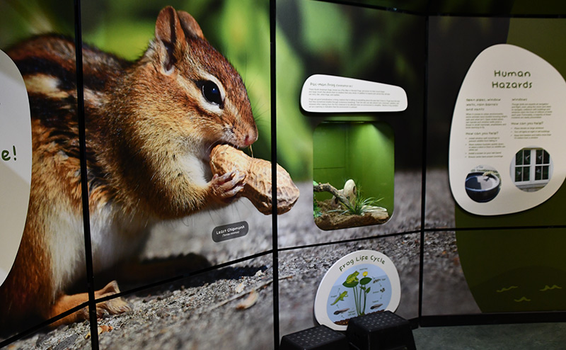 Urban Ecology Exhibit Room