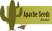 apache seeds company logo