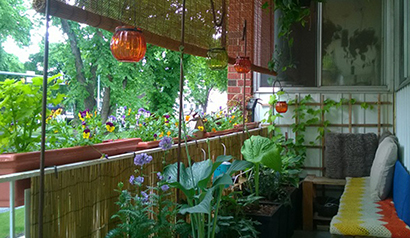 balcony with plants