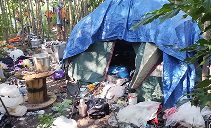 persons cutting through trees to encampment