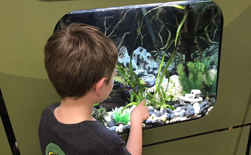 A child looking at a tank in the Exhibit Room at JJNC.