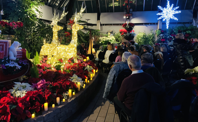 People viewing the plants and Christmas-themed decorations at Muttart's Candlelight Christmas event.