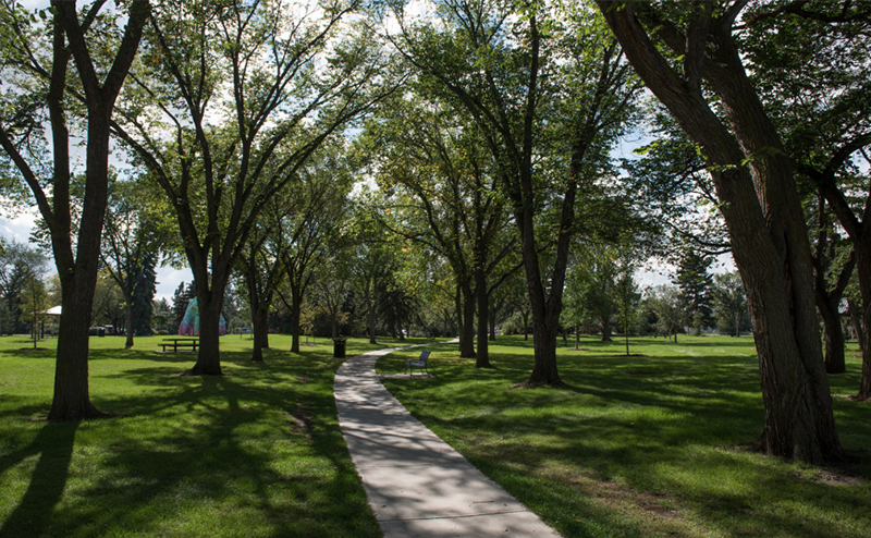 Open Space Trees (maintained) 