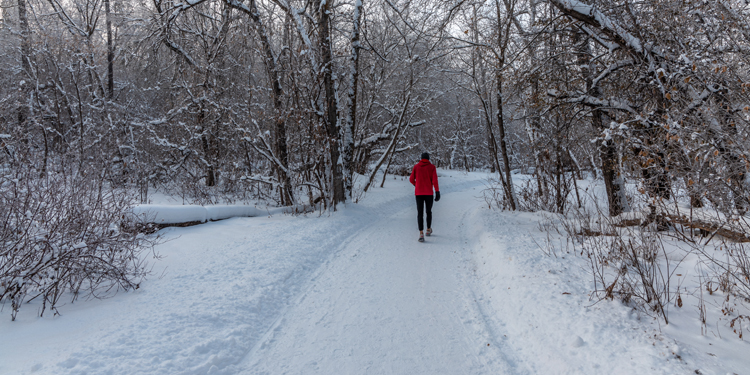 A person walking on a trail in winter