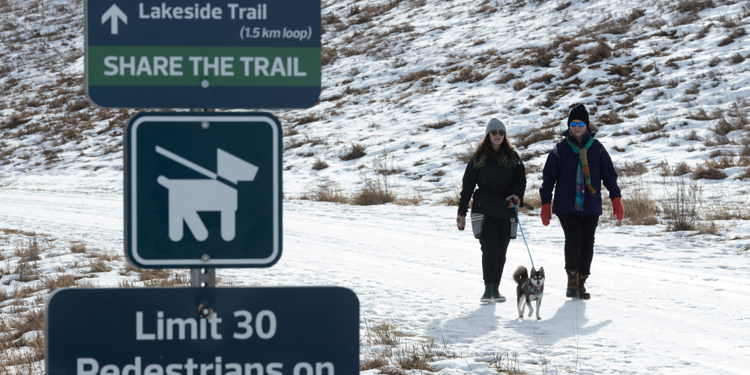 People walking a dog on a trail in winter