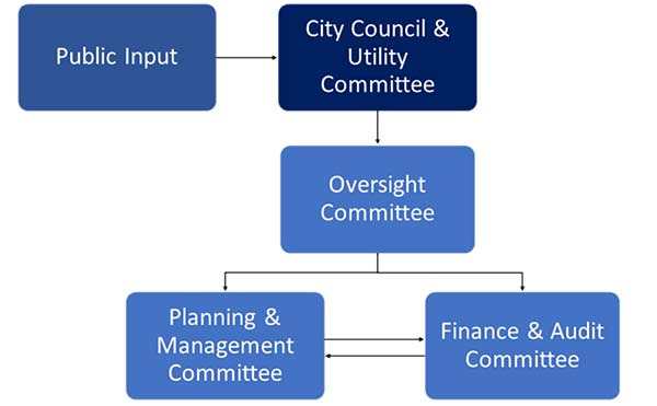 Sanitary Servicing Strategy Fund (SSSF) governance committees