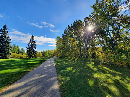 A trail in a natural area.