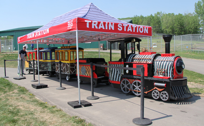 Zoo miniature train ride