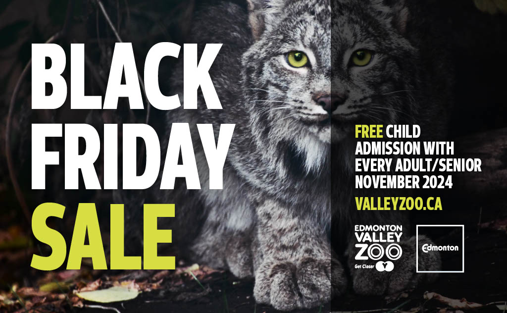 Black Friday Sale. Free child admission with every adult/senior. November 2024.