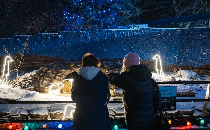 People viewing the lights at Zoominescence.