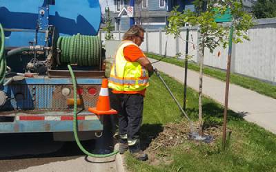City crews watering trees.