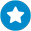 Circle Star Icon