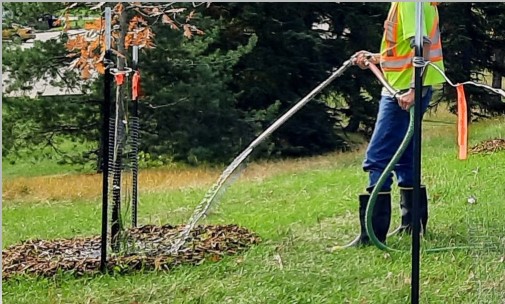 contractor watering a newly planted tree