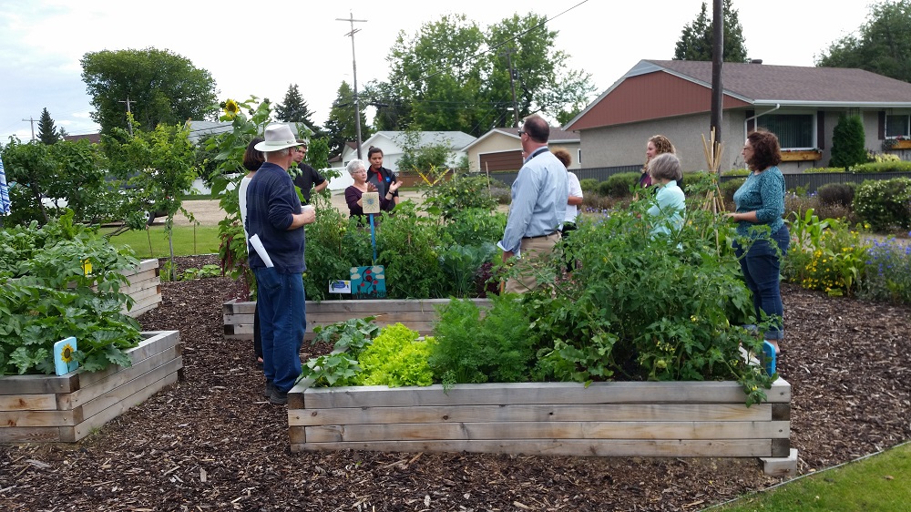 people standing in community garden