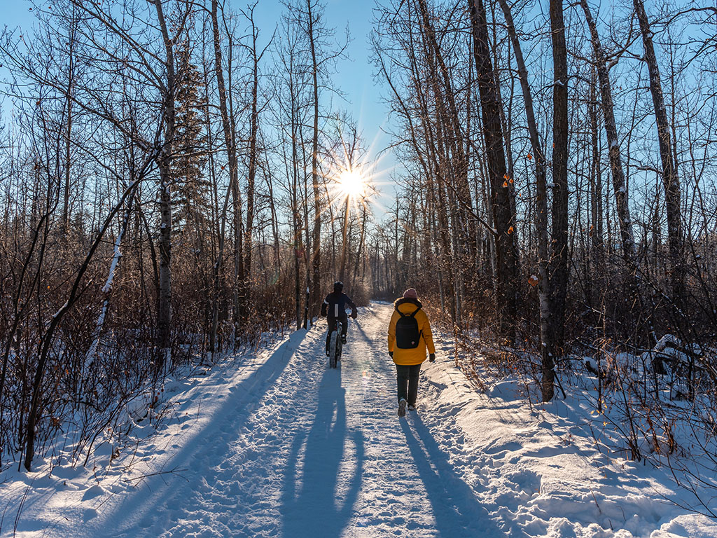 hawrelak trails in winter