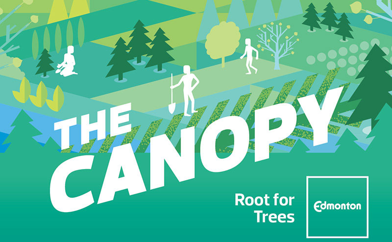 floral background with words 'The Canopy'