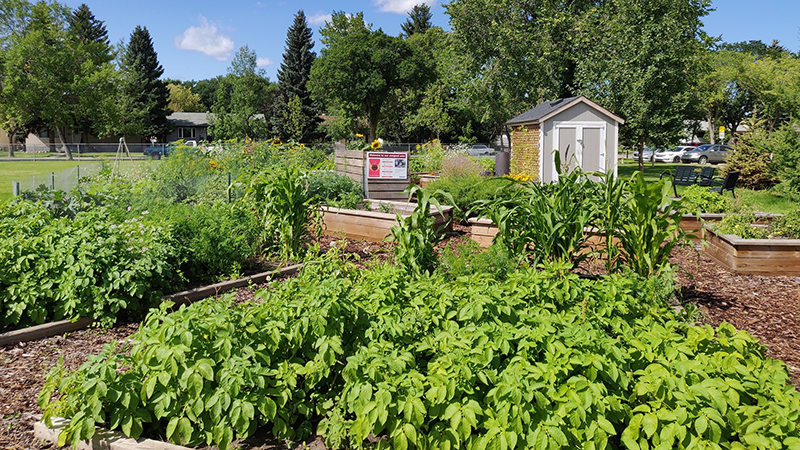 community gardens