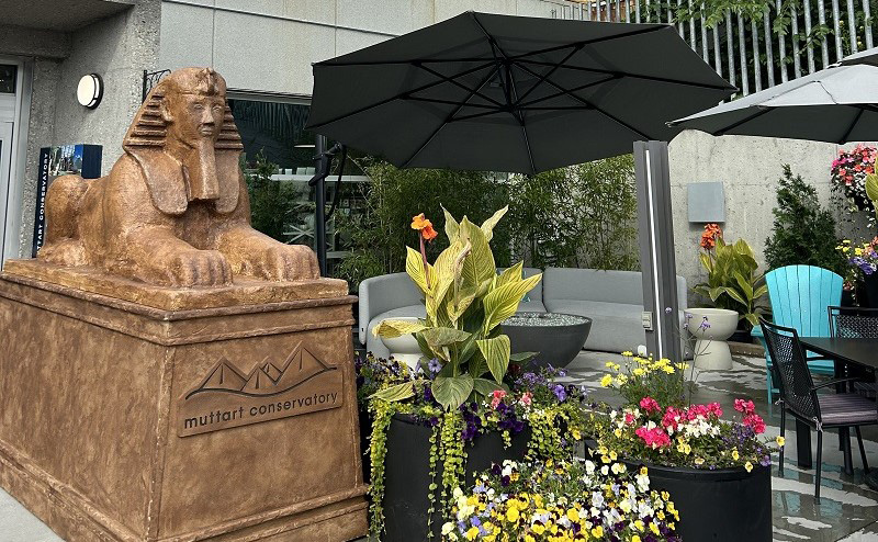 A sphinx on display in the feature pyramid, next to some flowers and a seating area.