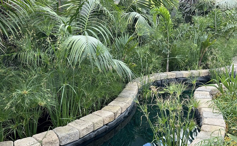 Plants surrounding a water feature.
