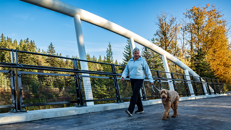 A woman walking a dog on the completed bridge