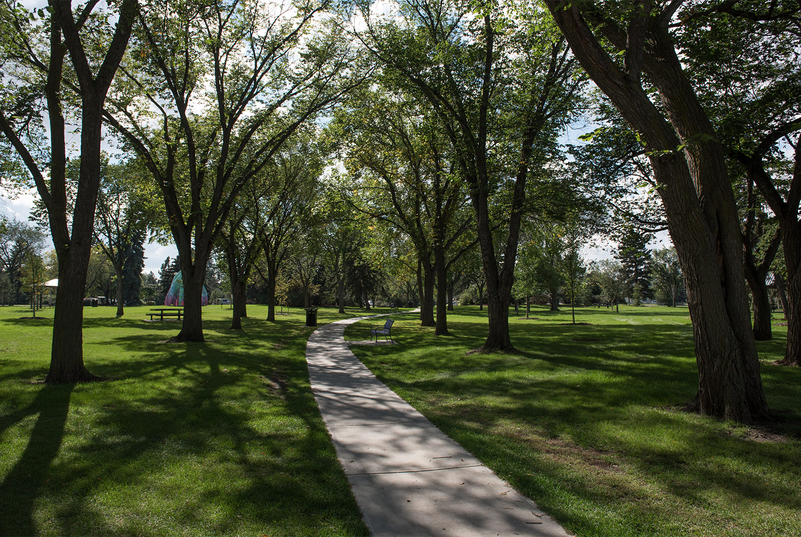 Mature trees at full canopy provide shade for enjoying hot summer days.  Sightlines are maintained by use of deciduous trees. (Borden Park)