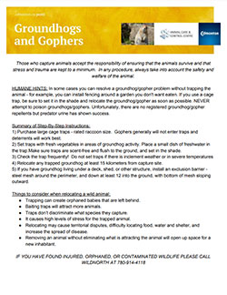 gopher info sheet