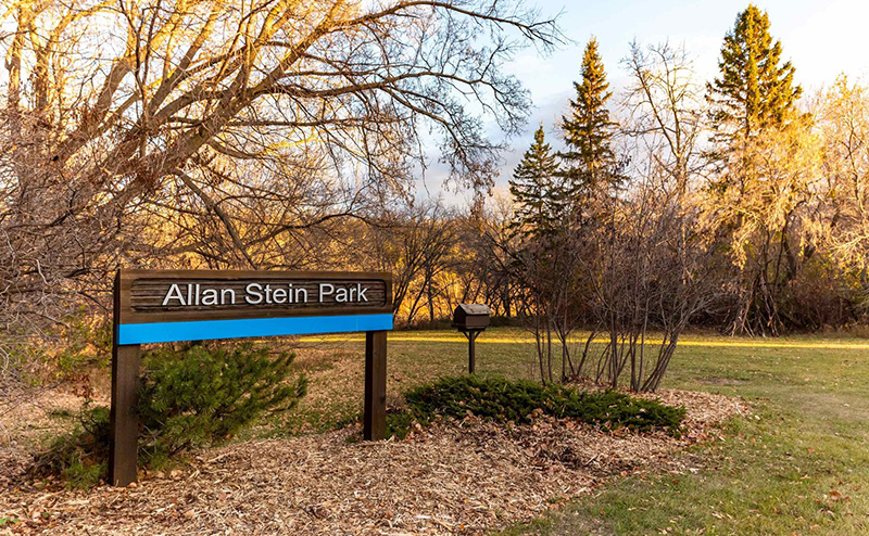 Photo of Allan Stein Park
