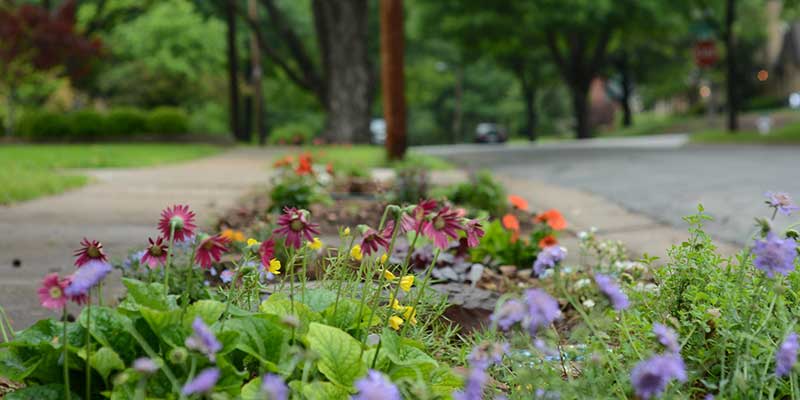 View of a planted boulevard space