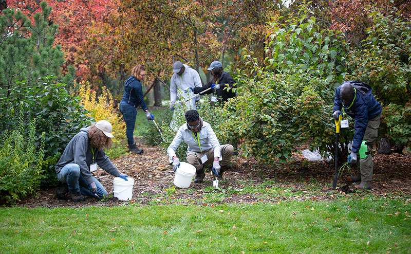 Volunteers planting in a City flower bed