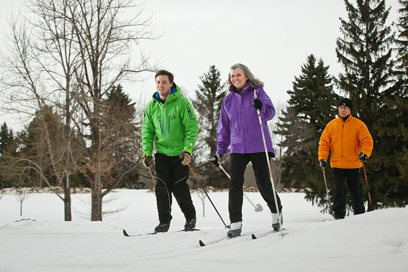 group of three persons cross-country skiing