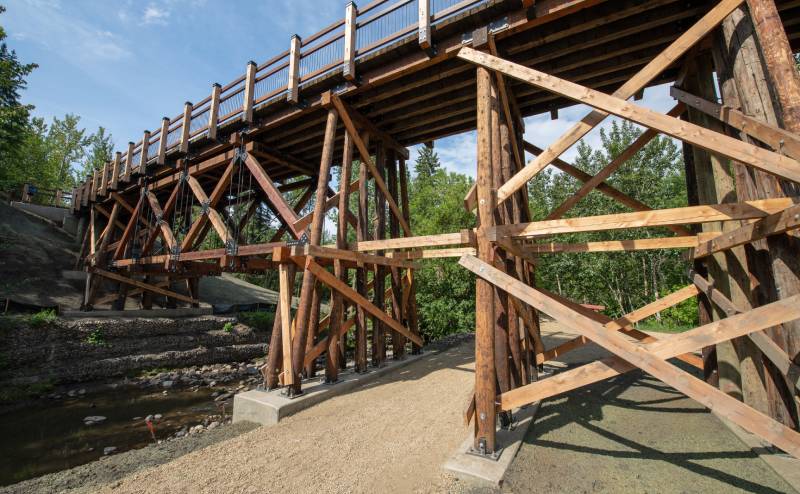 pedestrian bridge in Mill Creek Ravine