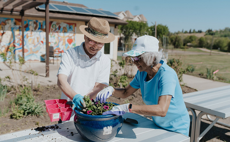 seniors planting