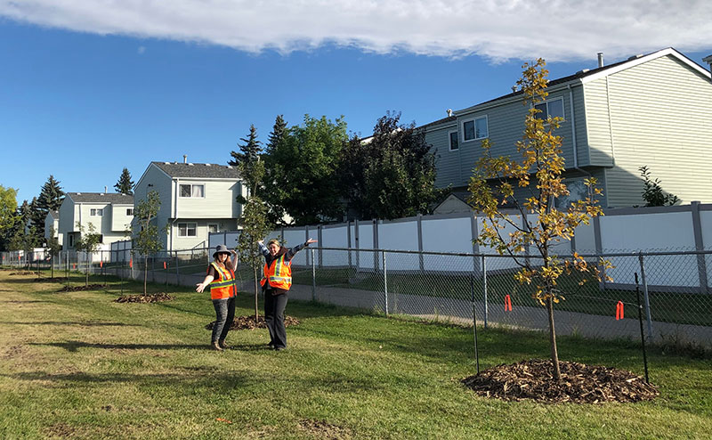 Two people celebrating newly planted trees