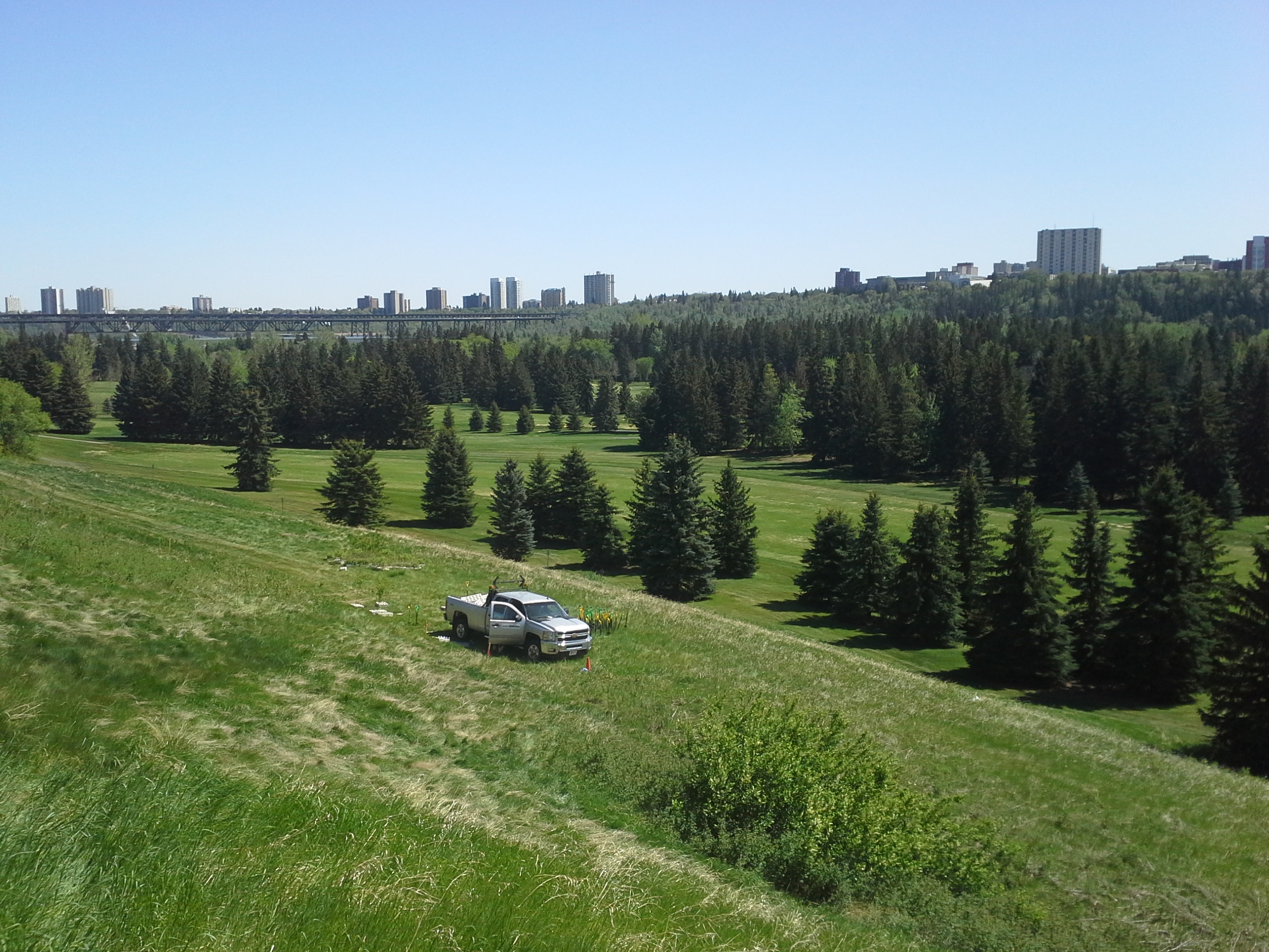 view of park with grass and trees