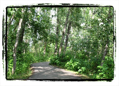 Cumberland Treestand