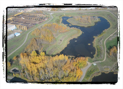 Roper Pond Constructed Wetland