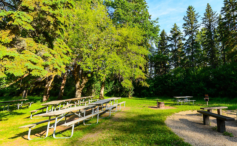 picnic site