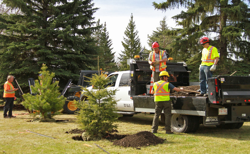 Park maintenance crew