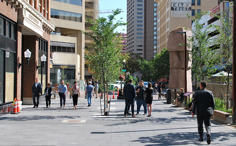Urban street in Edmonton