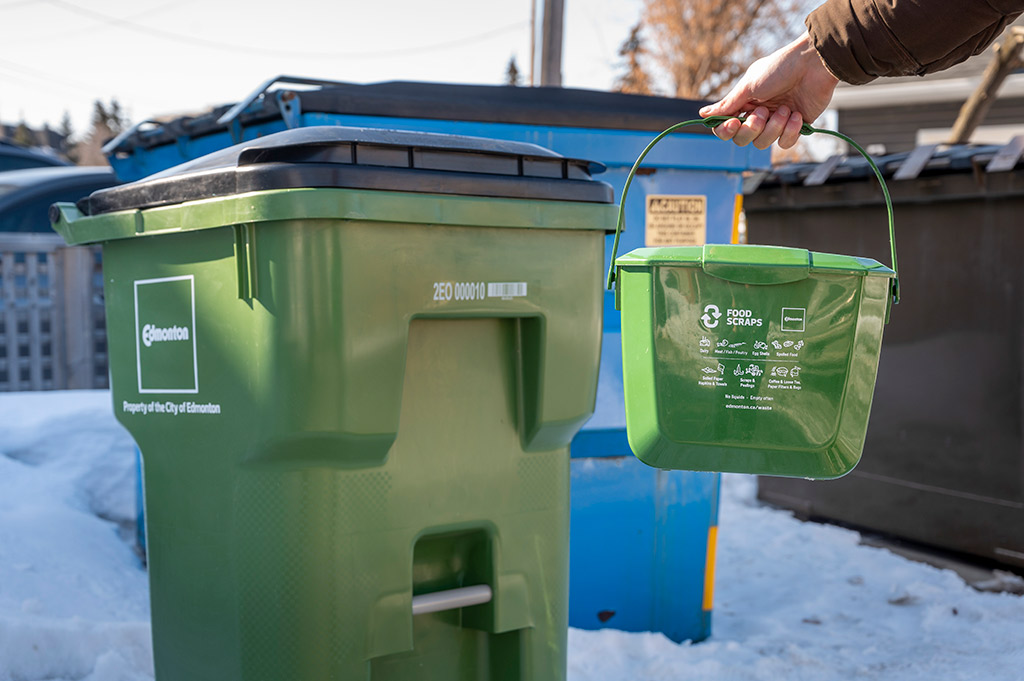 emptying food scraps