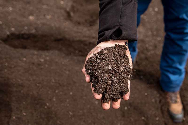 hand holding compost