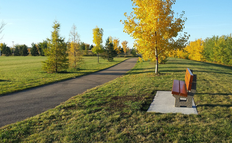 A bench on a park trail