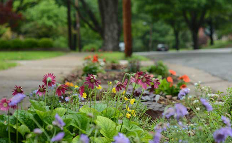 Flowers