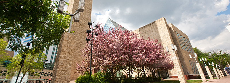 City hall in spring