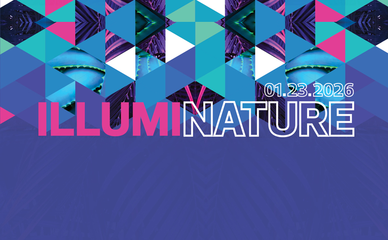 Illuminature 2026