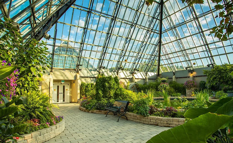 Plants inside the Muttart Conservatory.