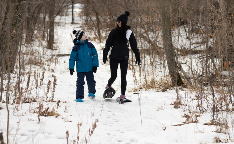 Parent and child snowshoeing outdoors during winter