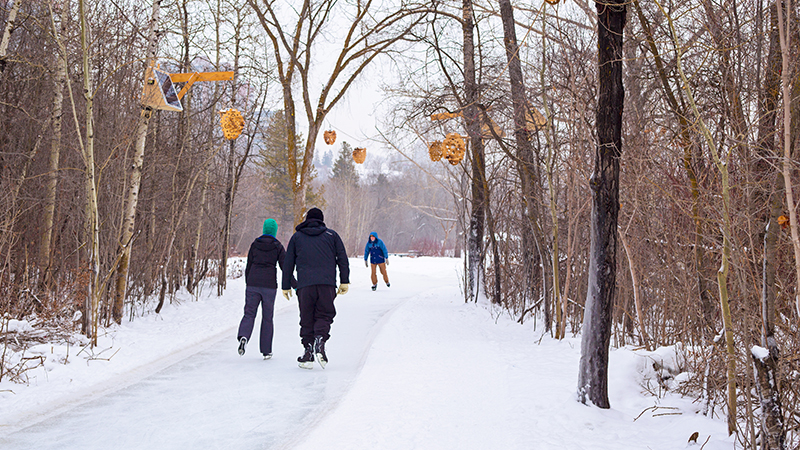 people walking in frozen parkland